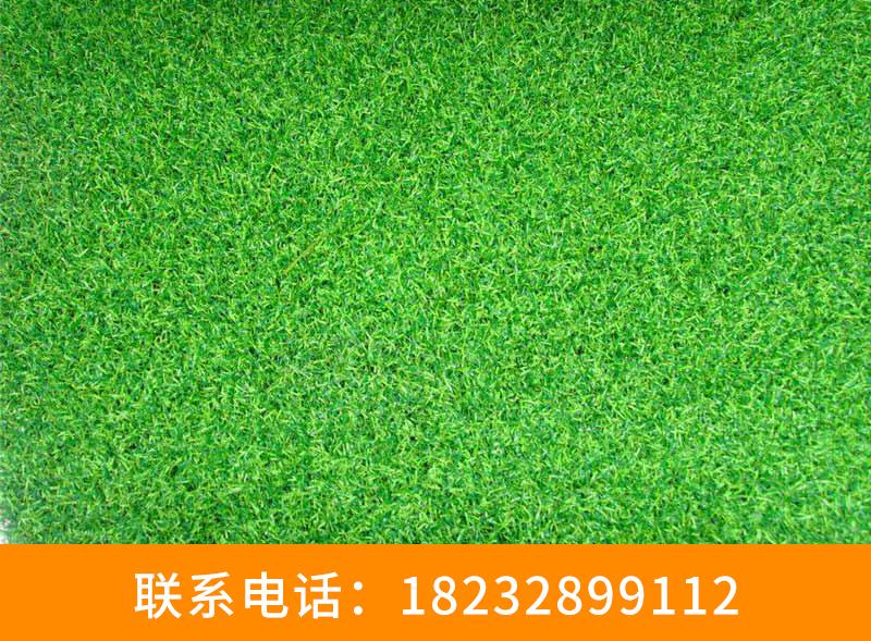 新闻:张家口市塑料草坪价格优惠价格=182328
